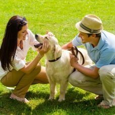 Couple_Playing_With_Dog